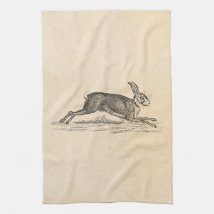 Illustration för 1800s för kanin för kökshandduk