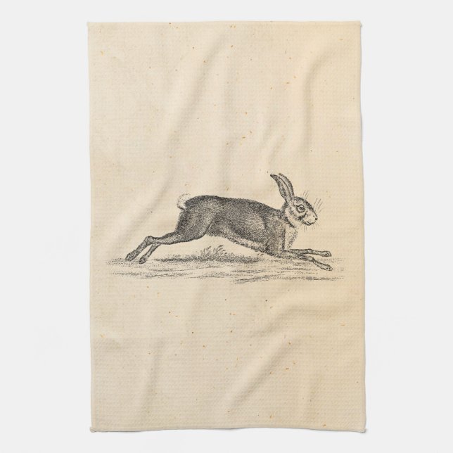 Illustration för 1800s för kanin för kökshandduk (Vertikal)