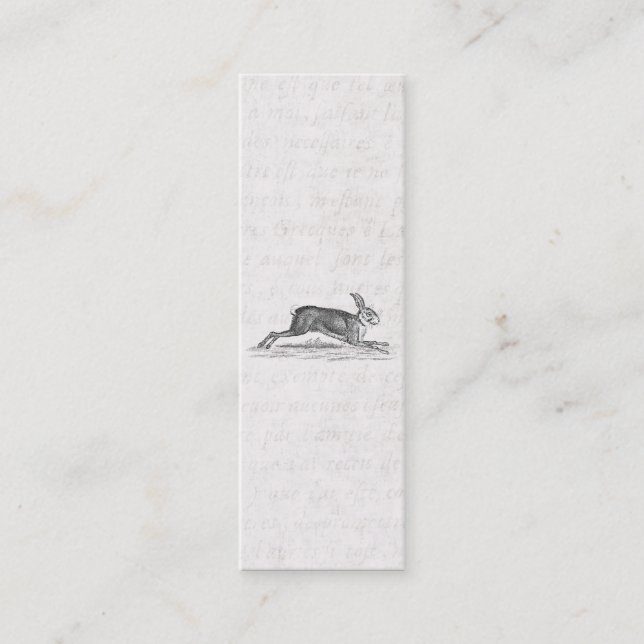 Illustration för 1800s för kanin för mini visitkort (Framsida)