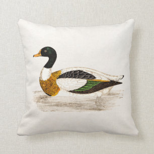 Illustration för anka för drake för vintage1800 kudde