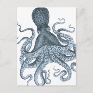 Illustration för bläckfisk för blåttgrå vykort