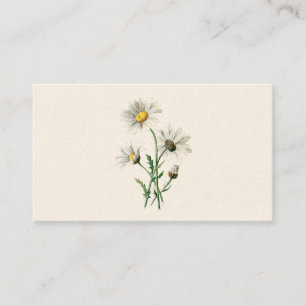 Illustration för blomma för vild för daisy för visitkort