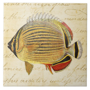 Illustration för fisk för fjäril för vintage18 kakelplatta