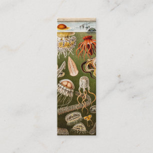 Illustration för fisk för gelé för vintagemane mini visitkort