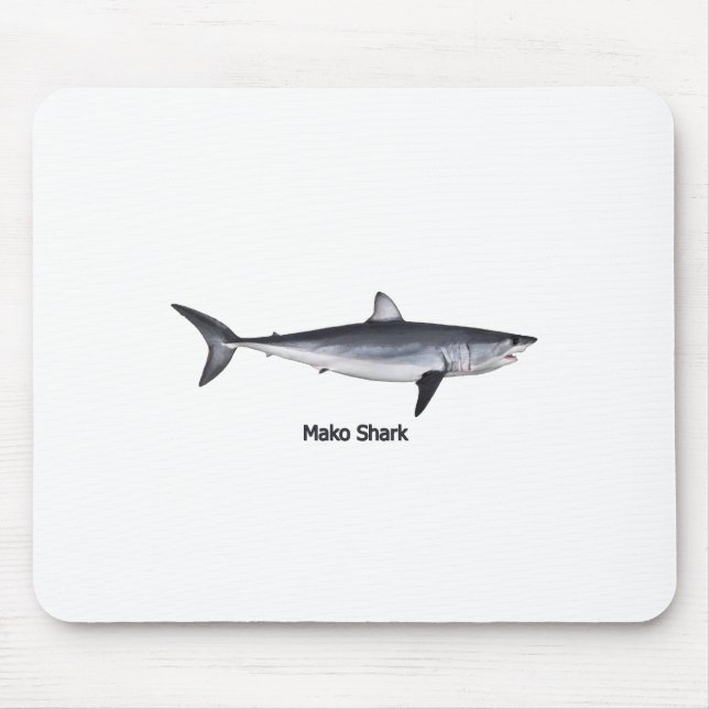 Illustration för haj för Shortfin Mako Musmatta (Framsidan)