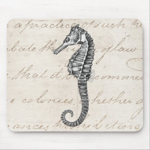 Illustration för häst för hav för vintage1800s musmatta