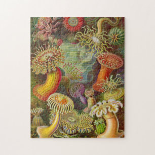 Illustration för havsanemonvintage pussel