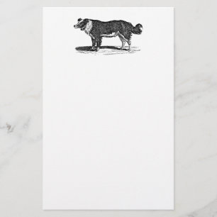 Illustration för hund för Collie för Brevpapper