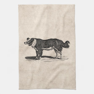 Illustration för hund för Collie för Kökshandduk