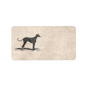 Illustration för hund för vintage1800svinthund - adressetikett