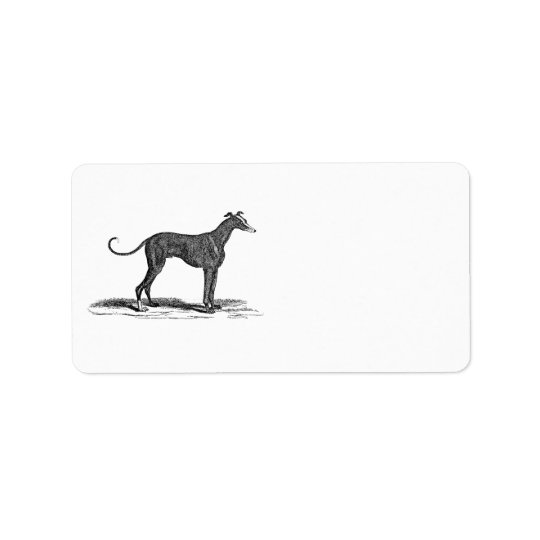 Illustration för hund för vintage1800svinthund - adressetikett