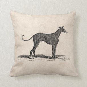Illustration för hund för vintage1800svinthund - kudde