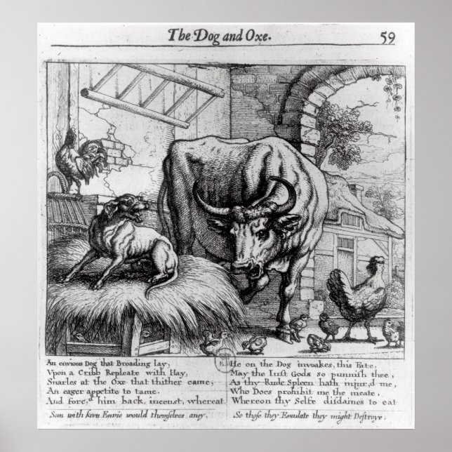 Illustration för "Hund och Ox" Poster (Framsidan)