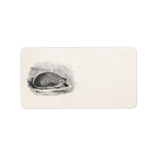 Illustration för igelkottar för adressetikett