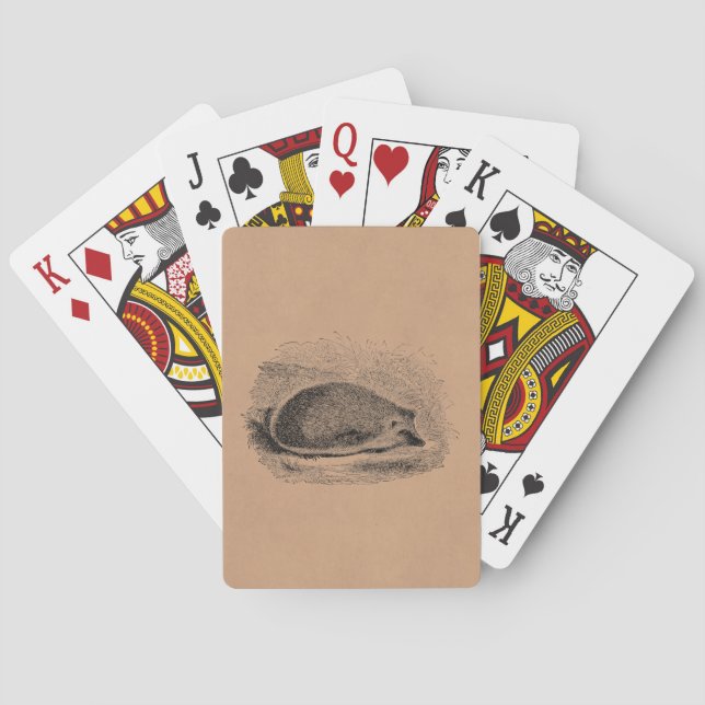 Illustration för igelkottar för casinokort (Baksidan)