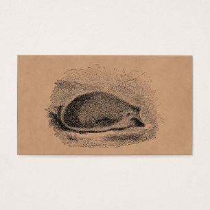 Illustration för igelkottar för visitkort