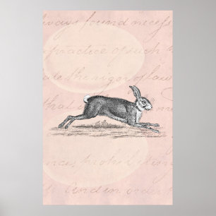 Illustration för kanin för vintageHarekanin - Poster