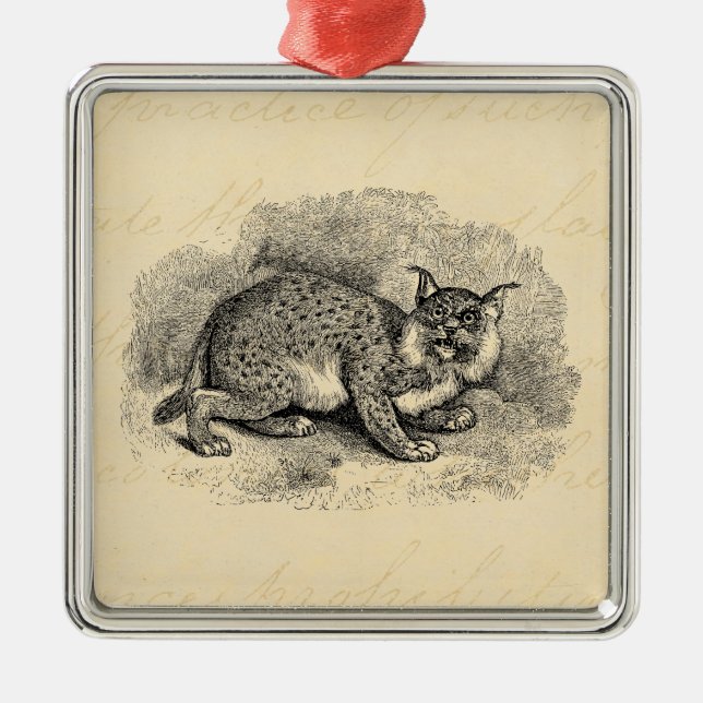 Illustration för lodjur för katt för egennamn för julgransprydnad metall (Framsidan)