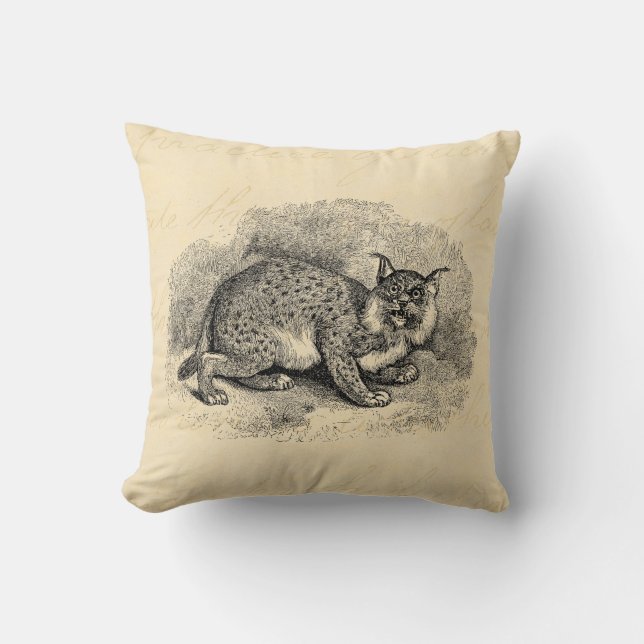 Illustration för lodjur för katt för egennamn för kudde (Framsida)