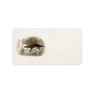 Illustration för näbbdjur för räkning för adressetikett
