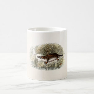 Illustration för näbbdjur för räkning för kaffemugg