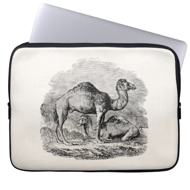 Illustration för personlig för laptop fodral (Framsidan)
