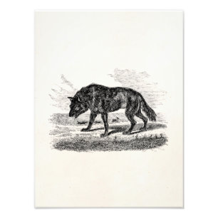 Illustration för varger för 1800s för fototryck