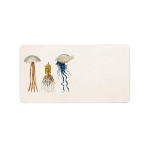 Illustration för vintage1800smanet - geléfisk adressetikett