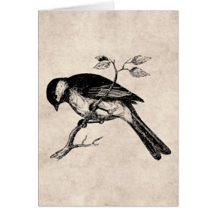 Illustration för vintagesångfågel - fåglar 180 hälsningskort