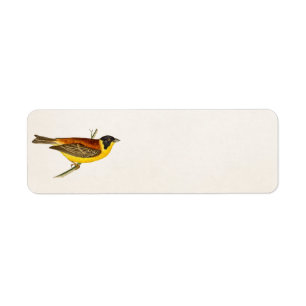 Illustration för vintagesångfågel - fåglar 180 returadress etikett