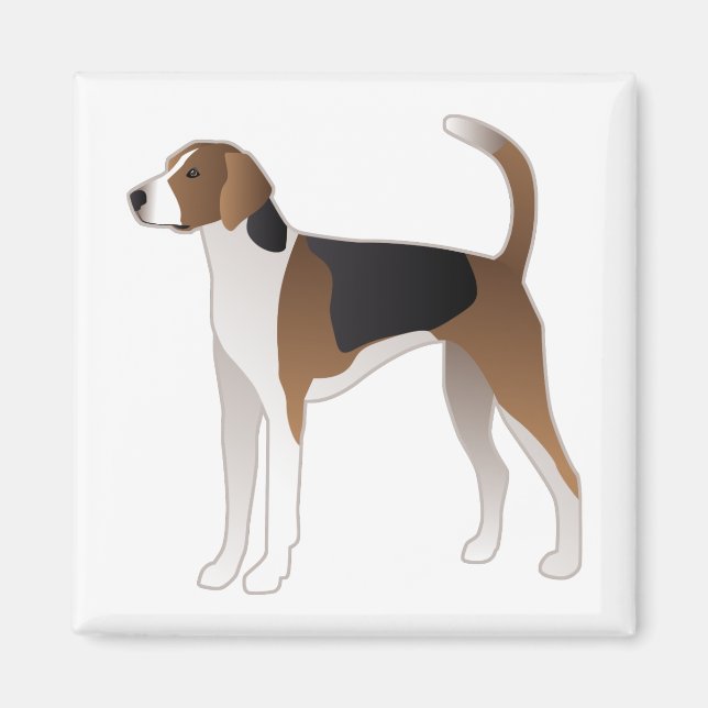 Illustration från American Foxhound Basic Hund ave Magnet (Framsidan)