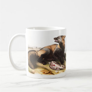 Illustration från American Kor Fox (Canis vulpes) Kaffemugg