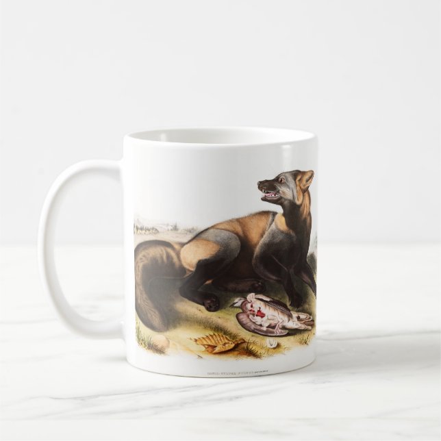 Illustration från American Kor Fox (Canis vulpes) Kaffemugg (Vänster)