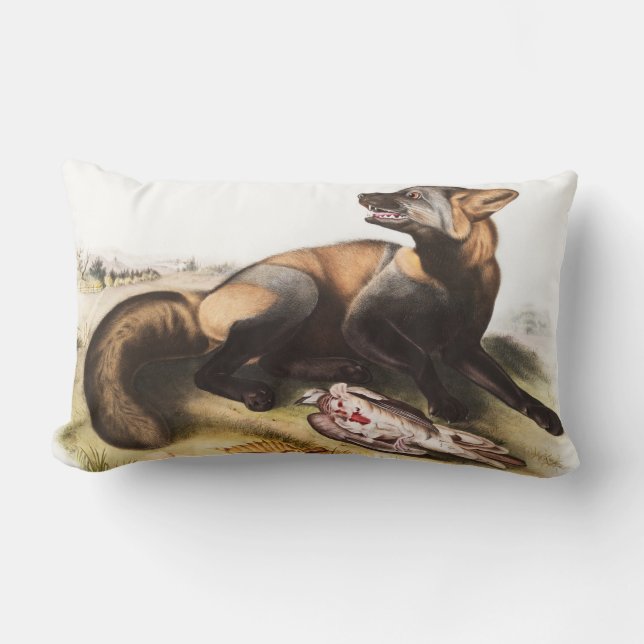 Illustration från American Kor Fox (Canis vulpes) Lumbarkudde (Framsida)
