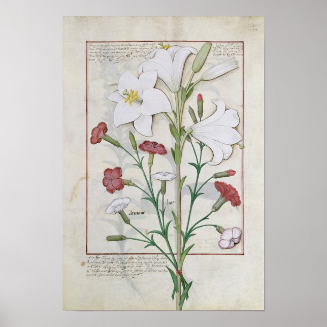 Illustration från Bok i Enkel Poster (Framsidan)