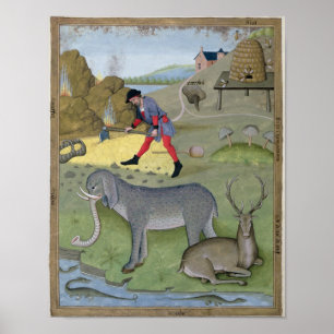 Illustration från Bok i Enkel Poster