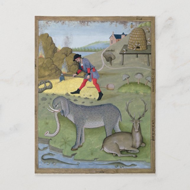 Illustration från Bok i Enkel Vykort (Framsida)