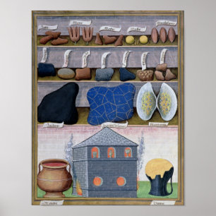 Illustration från "Bok of Simple Medicines" Poster