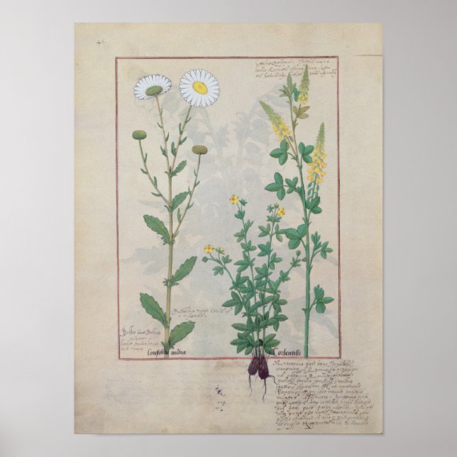 Illustration från "Bok of Simple Poster (Framsidan)