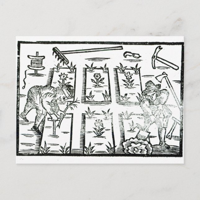 Illustration från Bok på  Vykort (Framsida)