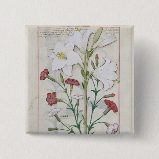 Illustration från 'boken av enkelt knapp (Framsida)