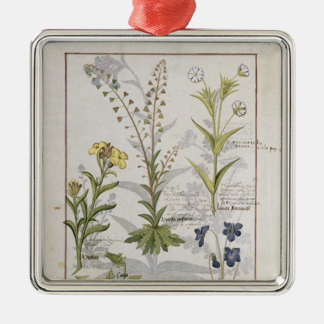 Illustration från "boken av enkla mediciner 2 julgransprydnad metall (Framsidan)