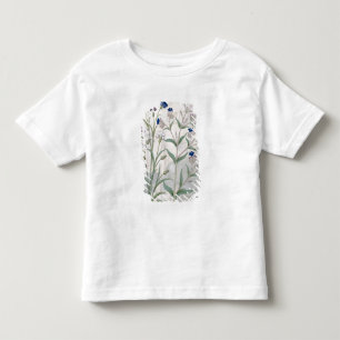 Illustration från "boken av enkla mediciner 3 tee
