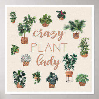Illustration från Crazy Plant Dam Poster
