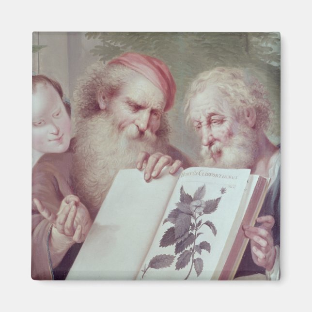 Illustration från Hortus Cliffortianus Magnet (Framsidan)