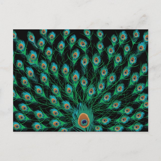 Illustration med peacock-fjädrar på svart vykort (Framsida)