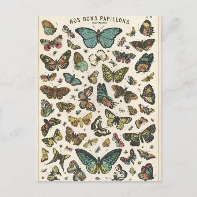 Illustration nos bons papillons vykort (Framsida)