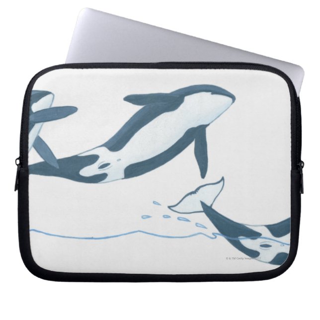 Illustration of Killer Whales (Orcinus orca) Laptop Fodral (Framsidan)
