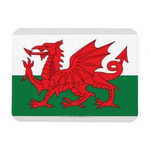 Illustration of national flagga of Wales, with red Magnet
