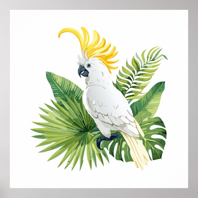 Illustration of parrot cockatoo poster (Framsidan)
